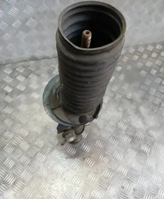 BMW X5 E53 Front shock absorber/damper