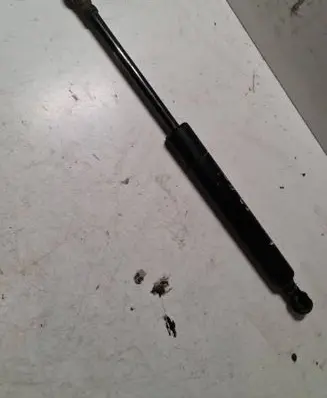 Tailgate/trunk strut/damper