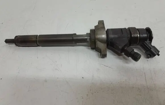 Citroen C4 I Picasso Fuel injector 0445110297 920029