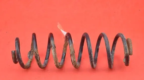 Volkswagen Jetta V Rear coil spring