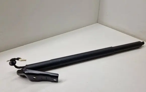 Tailgate/trunk strut/damper