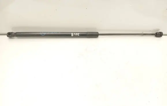 Tailgate strut