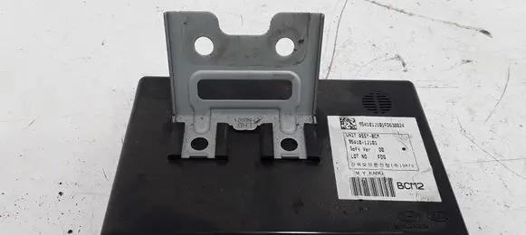 Hyundai i20 (PB PBT) Door central lock control unit/module 954101J101