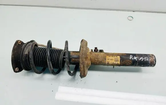 Volkswagen PASSAT B8 Front shock absorber with coil spring 3Q0413031BN 824904010024