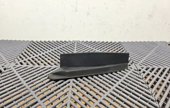 Rear/tail light trim molding