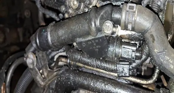 Volkswagen PASSAT B6 Engine coolant pipe/hose 03G121132