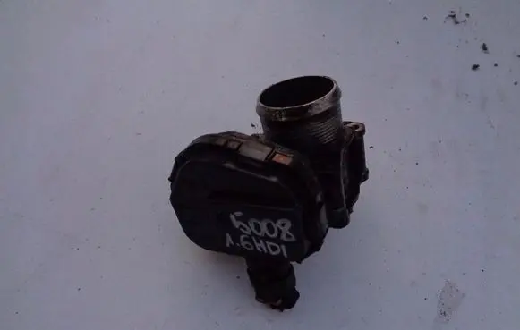 Peugeot Partner Throttle valve 9673534480