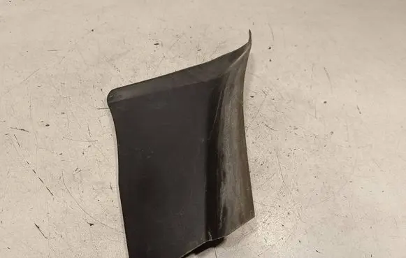Rear/tail light trim molding