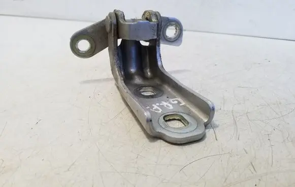 Rear door lower hinge