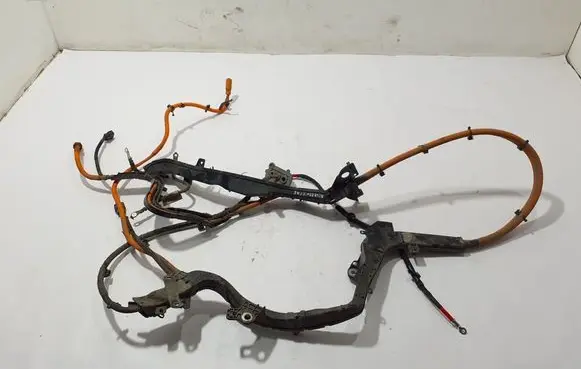 Other wiring loom