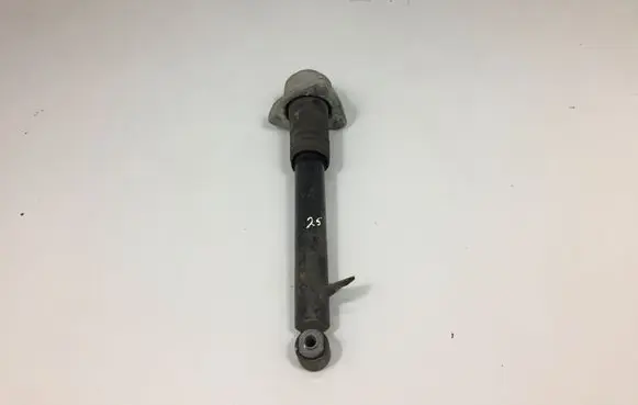 BMW X6 E71 Rear shock absorber/damper 6783018