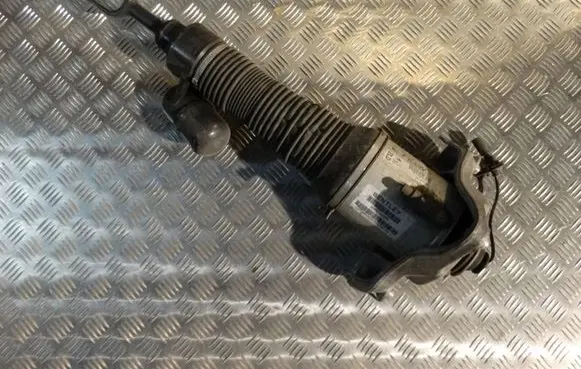 Bentley Continental Front shock absorber/damper 3W0616039E