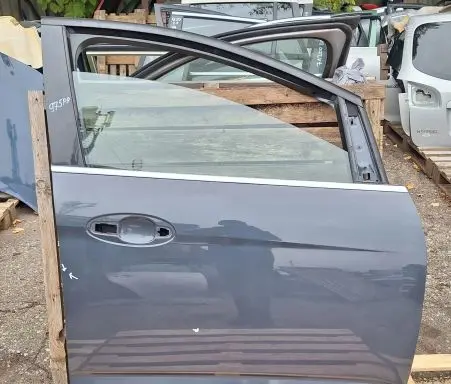 Ford Focus C-MAX Front door