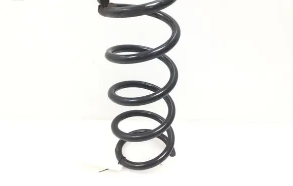 Nissan Murano Z50 Rear coil spring 
