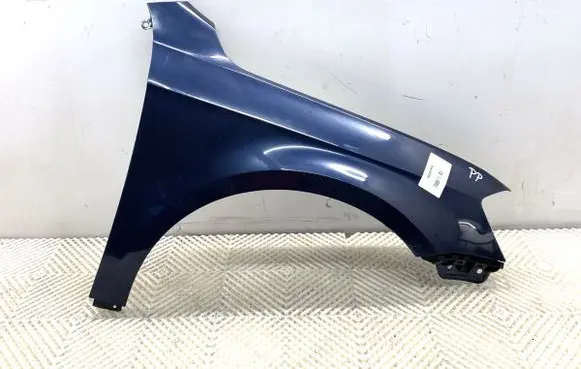 Volkswagen PASSAT B7 Fender 