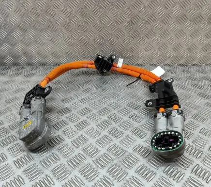 BMW iX Other wiring loom 5A1E3D6