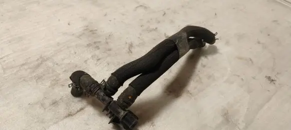 Dacia Sandero III Engine coolant pipe/hose 800671805