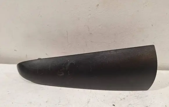 Rear/tail light trim molding