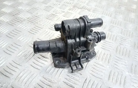 Thermostat/thermostat housing