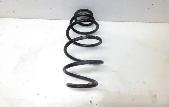 Front coil spring