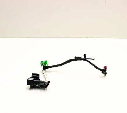 Other wiring loom