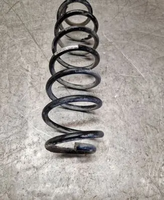 Rear coil spring