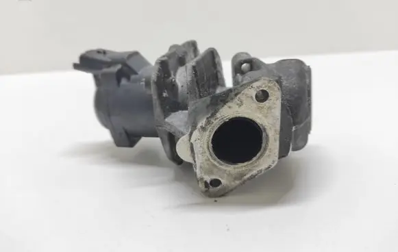EGR valve