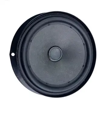 Volkswagen T-Roc Rear door speaker 2GA035710
