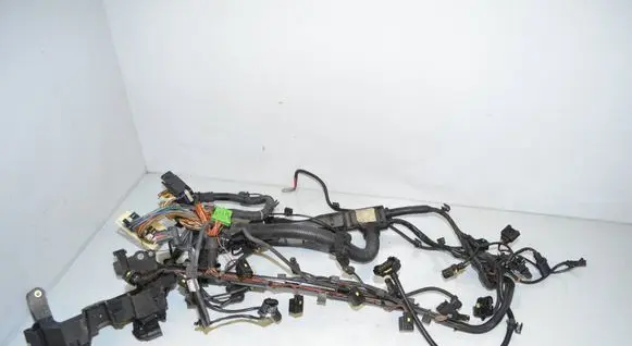 Engine installation wiring loom