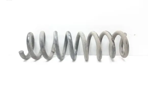 Rear coil spring