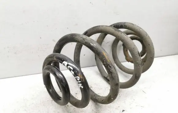 Volkswagen PASSAT B5.5 Rear coil spring