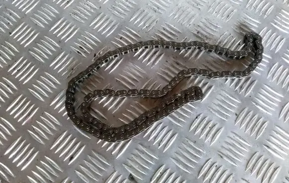 Ford Focus C-MAX Timing chain (engine) 