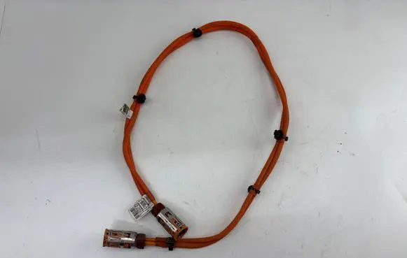 BMW iX1 Wiring harness 5A1CA6907 EEU13CH