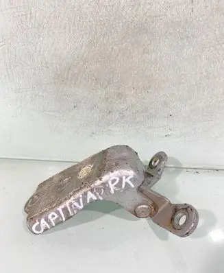 Chevrolet Captiva Front door lower hinge 