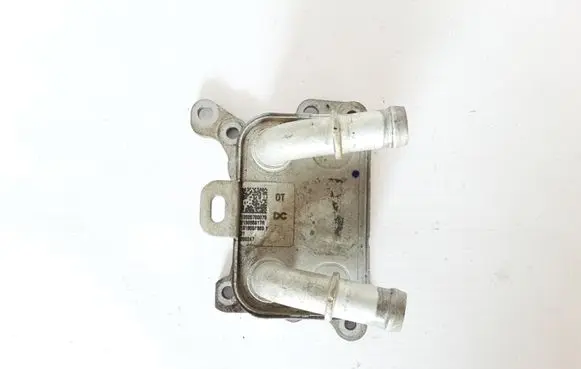 Renault Megane IV Oil filter mounting bracket 213055917R