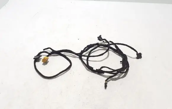 Other wiring loom