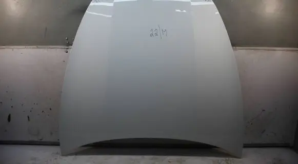 Engine bonnet/hood
