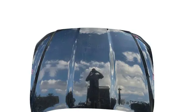 Engine bonnet/hood