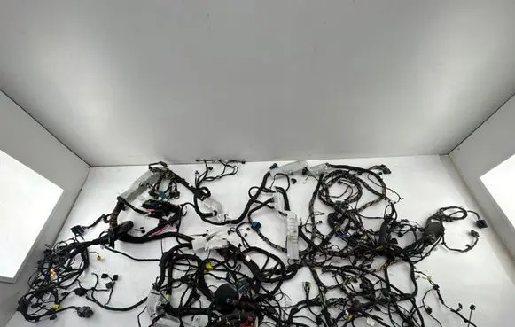 BMW iX1 Wiring harness 30072024 EA95343