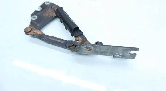 Volkswagen Golf Plus Engine bonnet/hood hinges 5M0823302