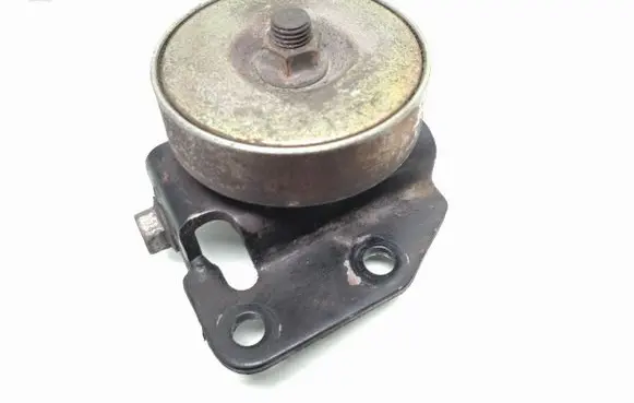 Suzuki Grand Vitara II Generator/alternator belt tensioner