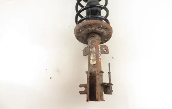 Fiat Bravo Front shock absorber with coil spring 50710778