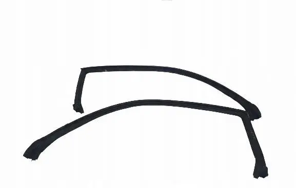 Dodge Challenger Rubber seal front door (on door)