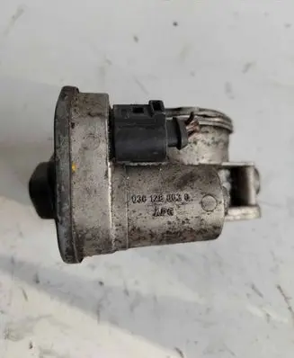 Volkswagen Touran I Throttle valve 038128063G