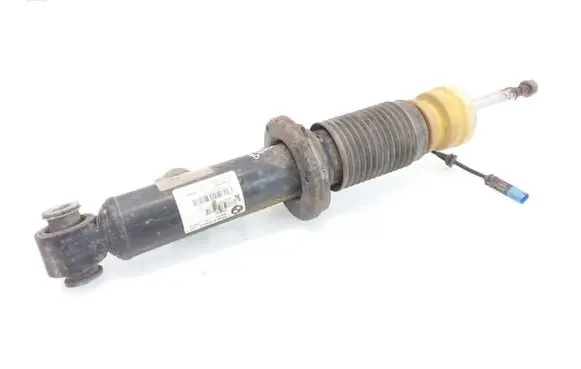 BMW X3 F25 Rear shock absorber/damper 6799911