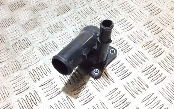 Thermostat/thermostat housing