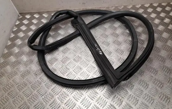 Polestar 4 Front door rubber seal 