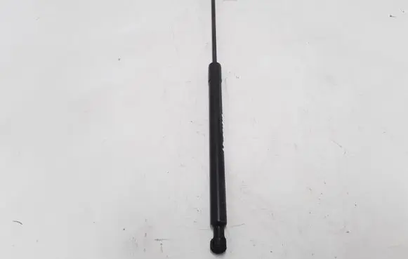 Dacia Lodgy Tailgate strut 904528093R