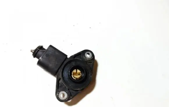 Volkswagen Jetta V Throttle valve position sensor 