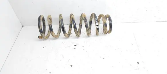 Hyundai Sonata Rear coil spring